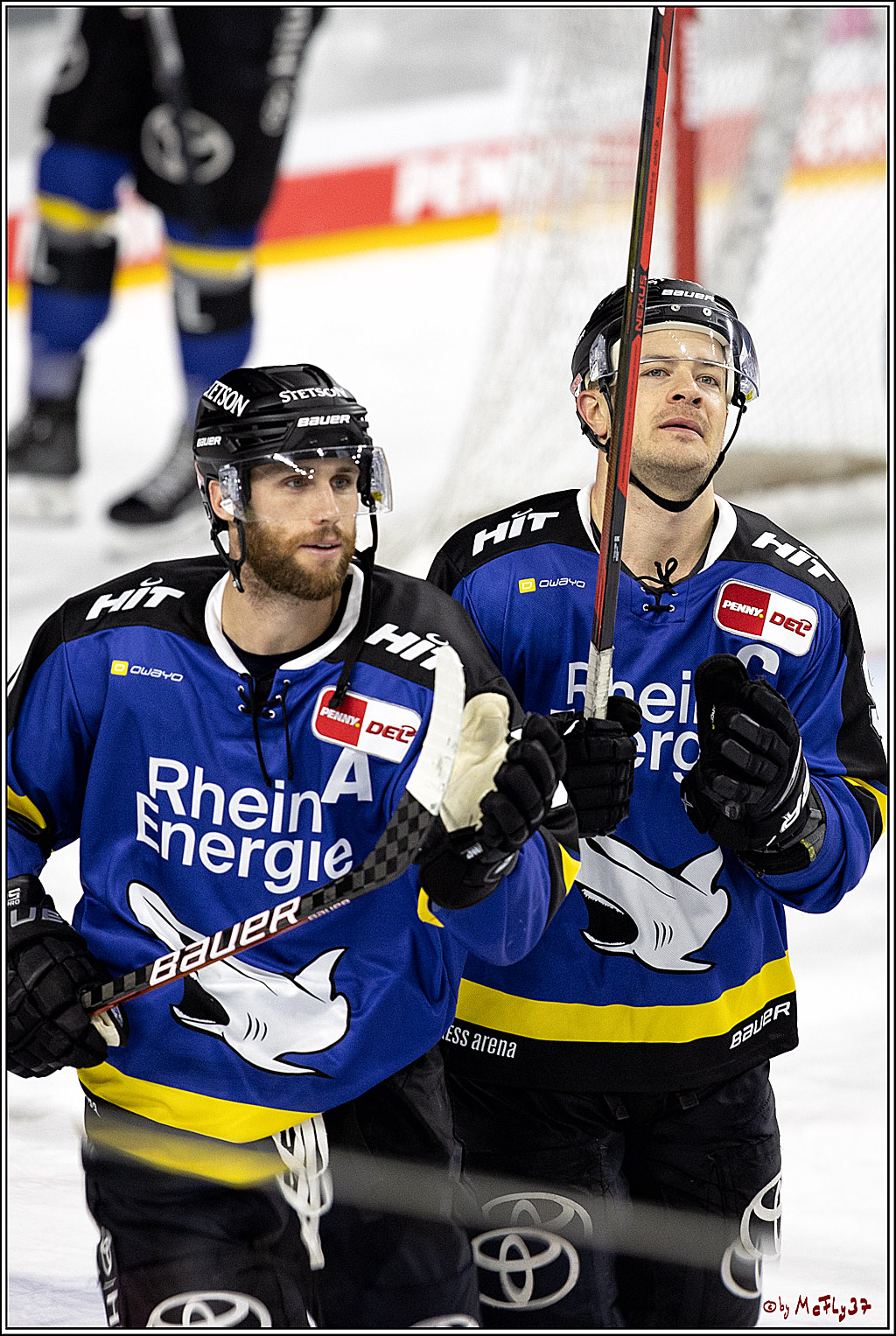 PENNY DEL;  Koelner Haie - Grizzlys Wolfsburg; Koeln, 25.11.2021